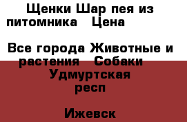 Щенки Шар пея из питомника › Цена ­ 25 000 - Все города Животные и растения » Собаки   . Удмуртская респ.,Ижевск г.